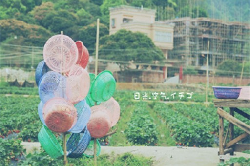 牛市早报｜11月单月出口规模创年内新高，上海印发支持上市公司并购重组方案